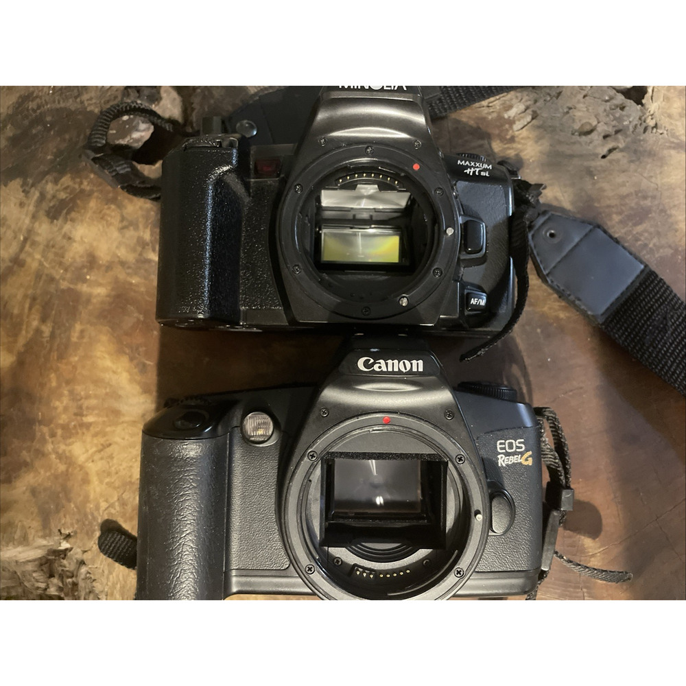 Lot of: 17 Film Cameras. Various brands.